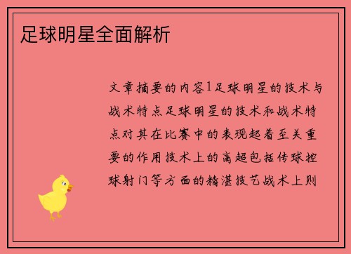 足球明星全面解析